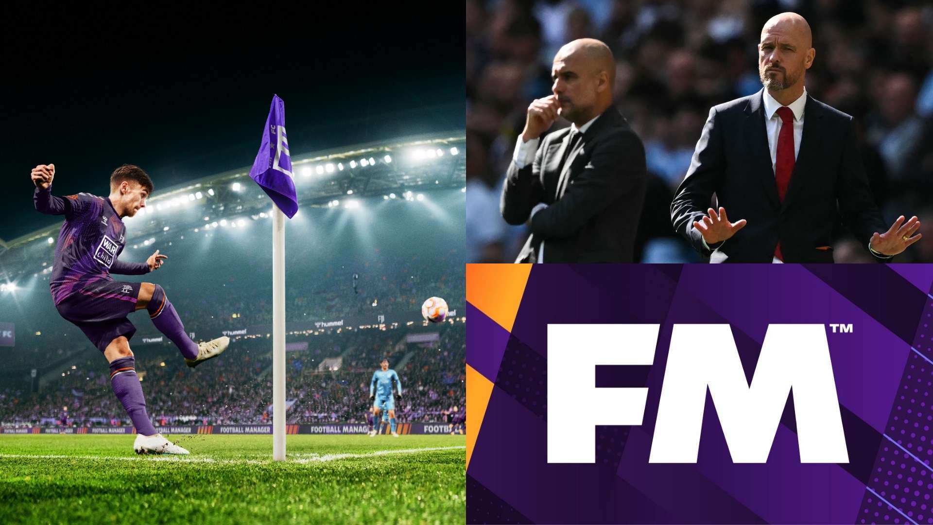 导致了这一 导致了这一